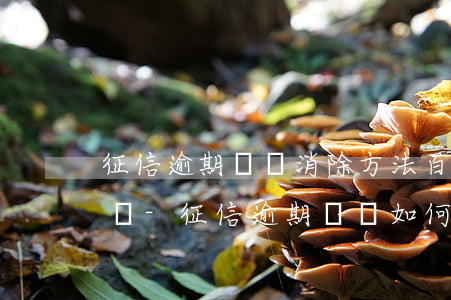 征信逾期記錄消除方法百度經(jīng)驗-征信逾期記錄如何消除