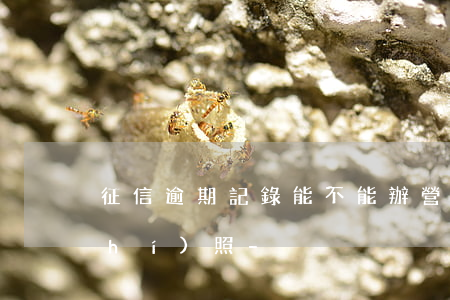 征信逾期記錄能不能辦營業(yè)執(zhí)照-