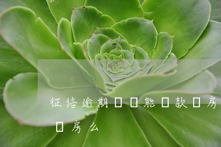 征信逾期記錄能貸款買房(征信逾期可以貸款買房么)