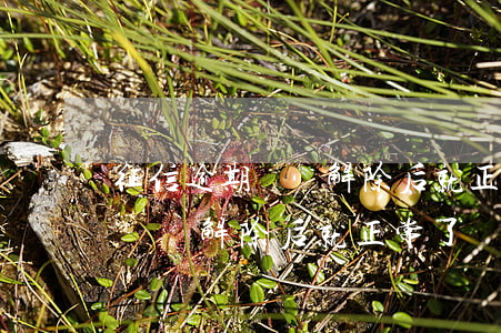 征信逾期記錄解除后就正常了嗎-征信逾期記錄解除后就正常了嗎怎么辦