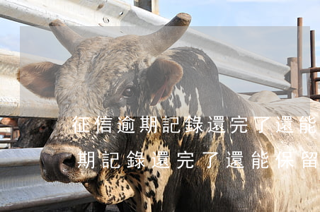 征信逾期記錄還完了還能保留多久-征信逾期記錄還完了還能保留多久的記錄