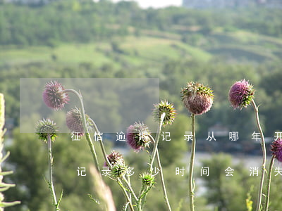 征信逾期记录从哪年开始(个人征信上的逾期记录多少时间会消失)