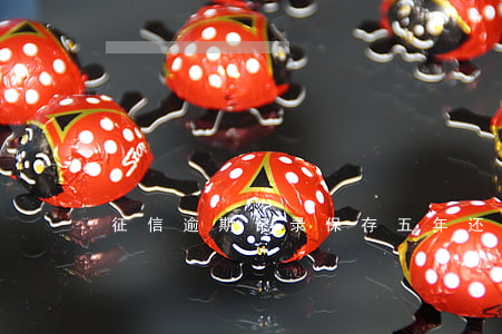征信逾期记录保存五年还是多久-