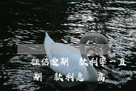 征信逾期貸款利率一直會上浮嗎-征信有逾期貸款利息會高嗎