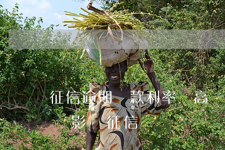 征信逾期貸款利率會高嗎(貸款利息逾期多久會影響征信)