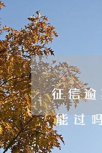 征信逾期贷款买车能过吗(征信逾期贷款买车能过吗)