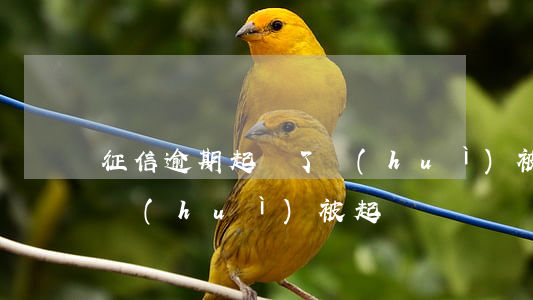 征信逾期起訴了會(huì)被抓(征信逾期會(huì)被起訴嗎)
