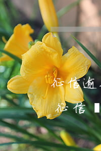 征信逾期起訴離婚(離婚官司會(huì)上征信嗎)
