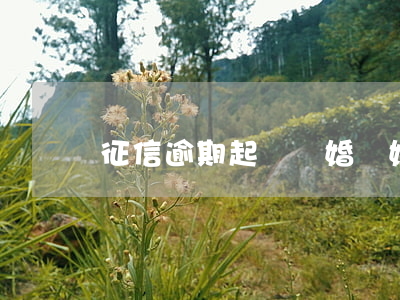 征信逾期起訴離婚(離婚官司會上征信嗎)