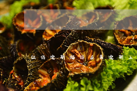 征信逾期起诉后果(逾期上征信后果)