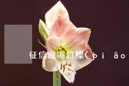 征信逾期超標(biāo)不能貸款