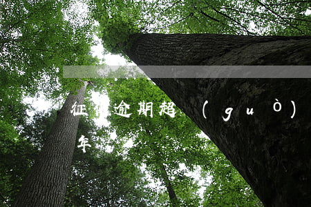 征信逾期超過(guò)90天兩年還是五年
