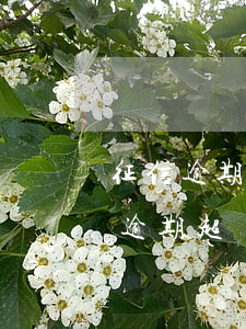 征信逾期超過90天要多久可以貸款（信用卡逾期超過90天可以車貸）