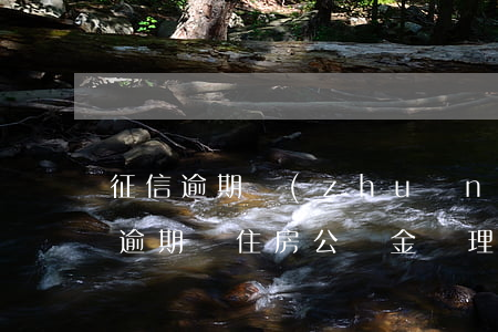 征信逾期轉(zhuǎn)公積金貸款(征信逾期對住房公積金辦理有沒有影響)