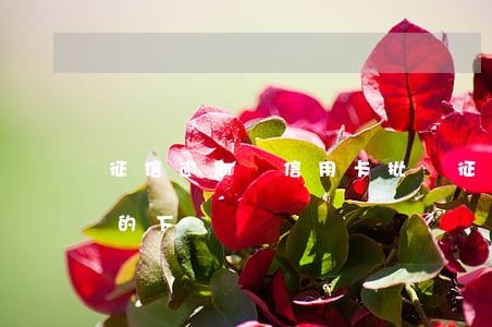 征信逾期辦信用卡批嗎 征信逾期了信用卡辦的下來嗎