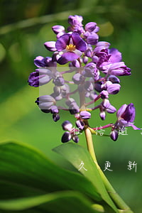 征信逾期还款了好久更新(征信逾期还款了好久更新)