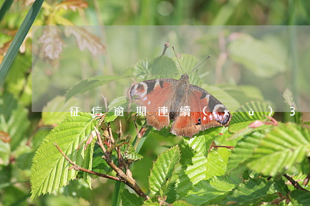 征信逾期連續(xù)3個(gè)1