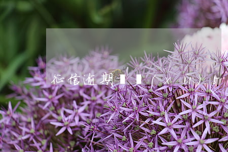 征信逾期連續(xù)5次有什么影響嗎-