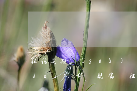 征信逾期過(guò)結(jié)婚會(huì)影響配偶嗎 征信逾期過(guò)結(jié)婚會(huì)影響配偶嗎小孩