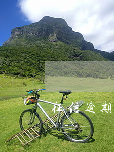征信逾期過了五年(征信逾期過了五年)