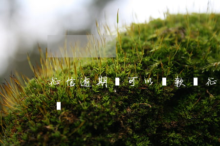 征信逾期過可以貸款嗎 征信逾期過可以貸款嗎