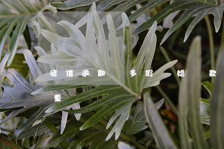 征信逾期過多假離婚貸款(征信兩次逾期很嚴重嗎)