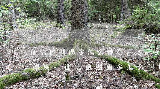 征信逾期過多怎么養(yǎng)信用卡提額度-征信逾期過多怎么可以辦貸款