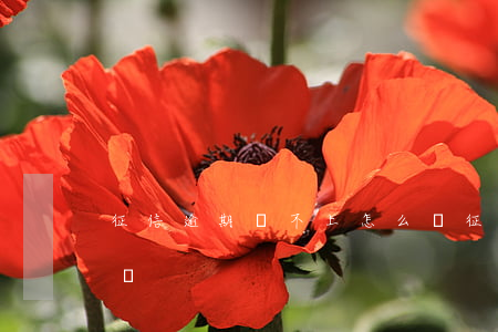 征信逾期還不上怎么辦（征信逾期還不上怎么辦）