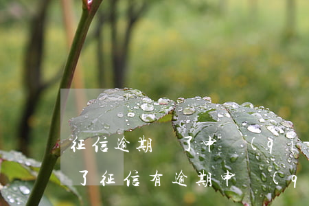 征信逾期還了申請(qǐng)信用卡下卡了(征信有逾期申請(qǐng)信用卡還能下嗎)