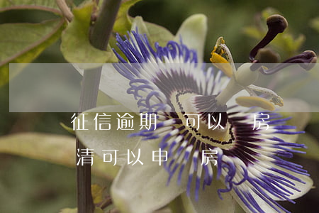 征信逾期還可以辦房貸嗎(征信有逾期,但已還清,可以申請房貸嗎?)