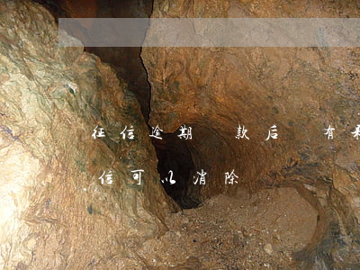 征信逾期還款后沒有呆賬(呆賬逾期款還完征信可以消除嗎)