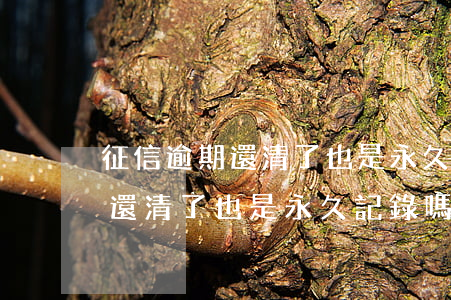 征信逾期還清了也是永久記錄嗎-征信逾期還清了也是永久記錄嗎怎么辦