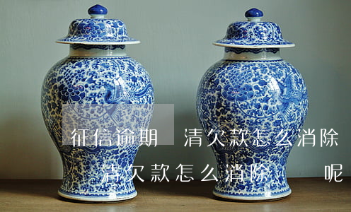 征信逾期還清欠款怎么消除記錄-征信逾期還清欠款怎么消除記錄呢