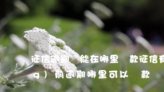 征信逾期還能在哪里貸款(征信有當(dāng)前逾期哪里可以貸款)