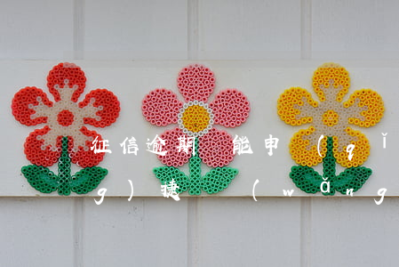 征信逾期還能申請(qǐng)網(wǎng)捷貸(網(wǎng)捷貸每次借款都上征信嗎)