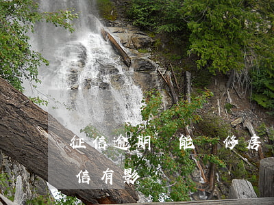 征信逾期還能裝修房貸嗎(裝修貸逾期一天征信有影響嗎)