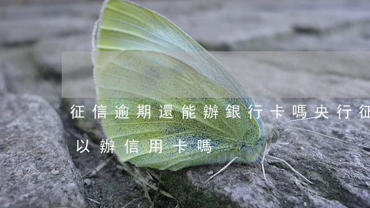 征信逾期還能辦銀行卡嗎（央行征信逾期還可以辦信用卡嗎）
