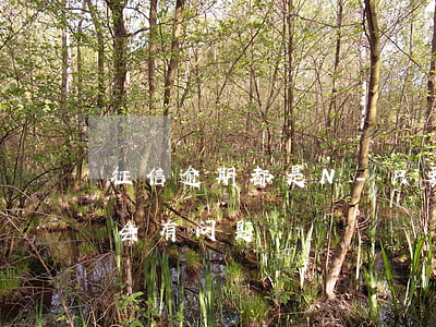 征信逾期都是N-只要逾期了,是不是征信就会有问题
