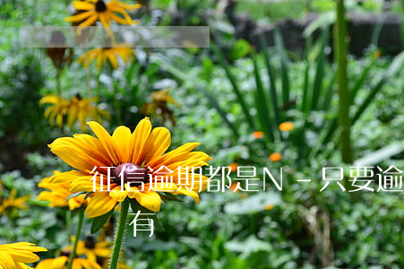 征信逾期都是N-只要逾期了,是不是征信就會有問題