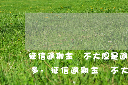 征信逾期金額不大但是逾期次數(shù)多-征信逾期金額不大但是逾期次數(shù)多怎么辦