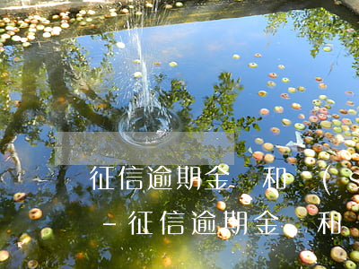 征信逾期金額和實(shí)際金額不一樣-征信逾期金額和實(shí)際金額不一樣怎么辦