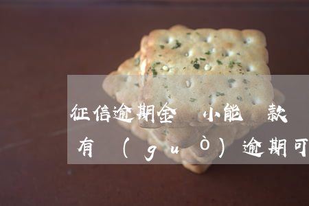 征信逾期金額小能貸款嗎(個(gè)人征信有過(guò)逾期可以辦貸款嗎)