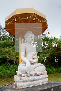 征信逾期金額為0元-征信里有逾期期數(shù)是0