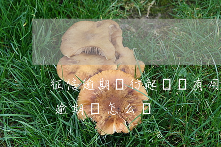 征信逾期銀行起訴還有用嗎 銀行導致的征信逾期,該怎么辦