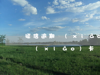 征信逾期銷(xiāo)卡房貸(信用卡逾期銷(xiāo)卡)