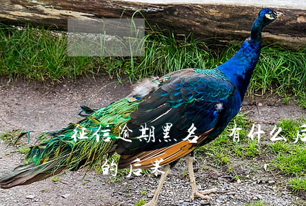 征信逾期黑名單有什么后果（信用卡逾期黑名單的后果）