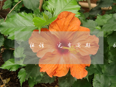 征信還完有逾期記錄(征信還完有逾期記錄)
