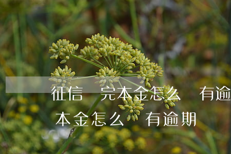 征信還完本金怎么還有逾期記錄-征信還完本金怎么還有逾期記錄呢