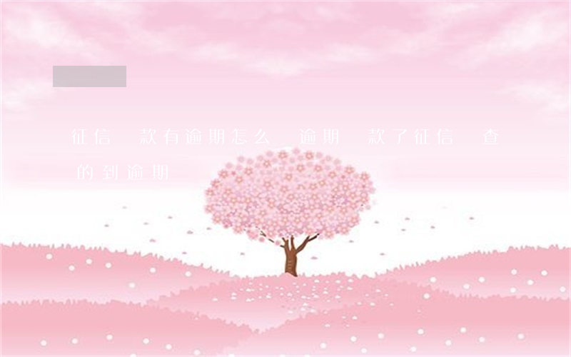 征信還款有逾期怎么辦(逾期還款了征信還查的到逾期嗎)