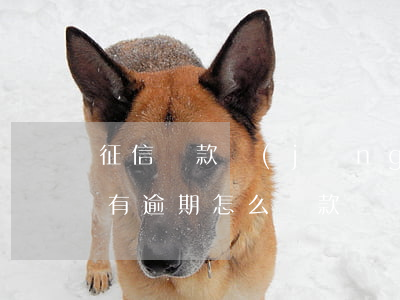 征信還款經(jīng)常逾期怎么辦(征信有逾期怎么還款)